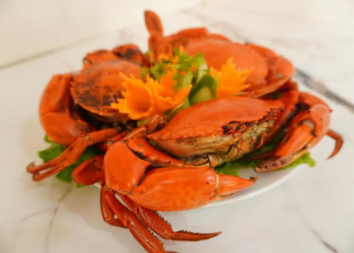 Hotel Khach San Time Lotus Hạ Long